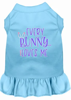 Every Bunny Loves Me Screen Print Dog Dress Baby Blue Xs (8)