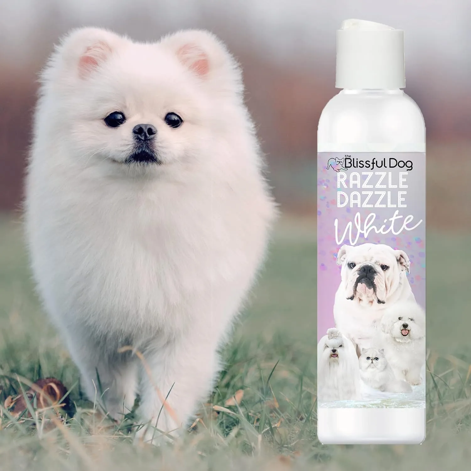 The Blissful Dog Razzle Dazzle White Pet Shampoo  Dog Shampoo for White/Light Colored Coat, 8 oz